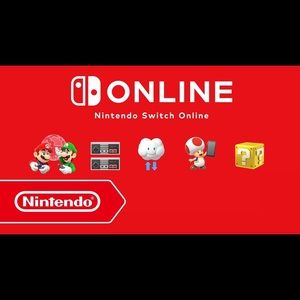 Nintendo Switch 12 month online membership